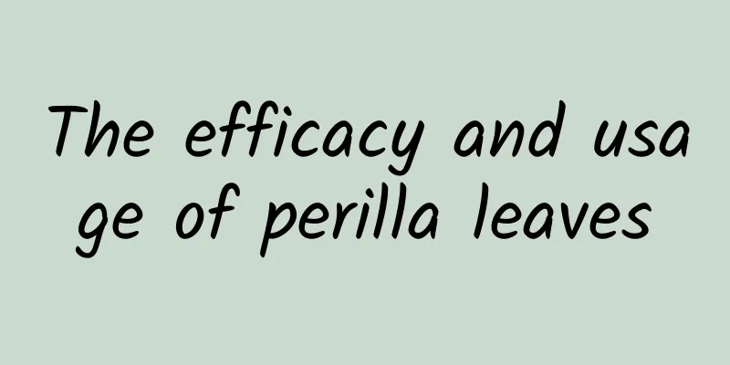 The efficacy and usage of perilla leaves