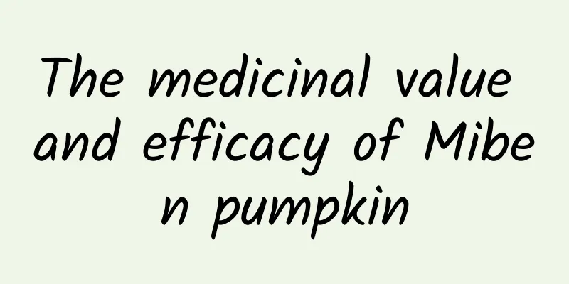 The medicinal value and efficacy of Miben pumpkin