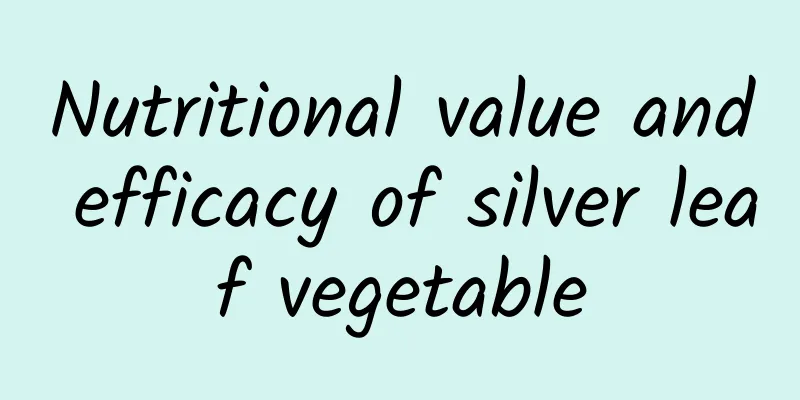 Nutritional value and efficacy of silver leaf vegetable