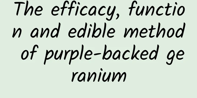 The efficacy, function and edible method of purple-backed geranium