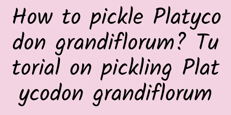 How to pickle Platycodon grandiflorum? Tutorial on pickling Platycodon grandiflorum