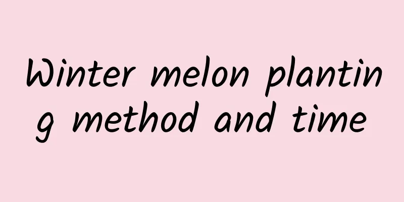 Winter melon planting method and time