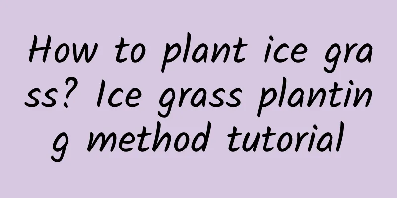 How to plant ice grass? Ice grass planting method tutorial