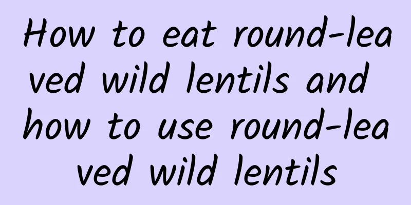 How to eat round-leaved wild lentils and how to use round-leaved wild lentils