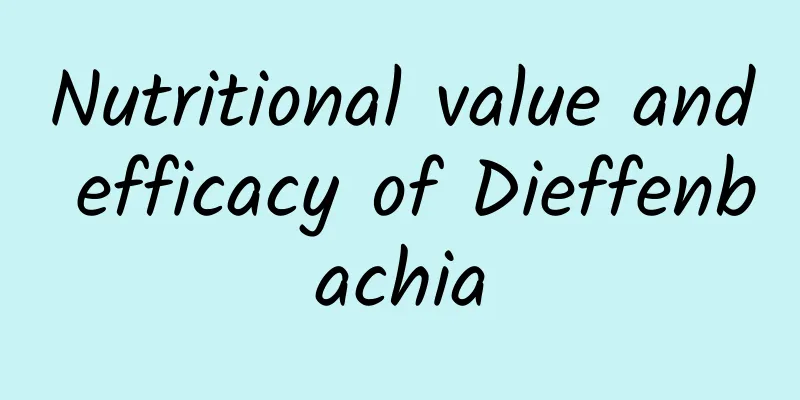 Nutritional value and efficacy of Dieffenbachia