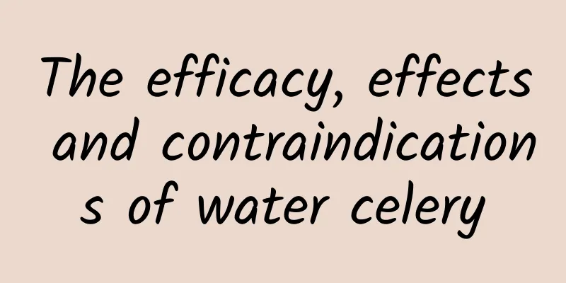 The efficacy, effects and contraindications of water celery