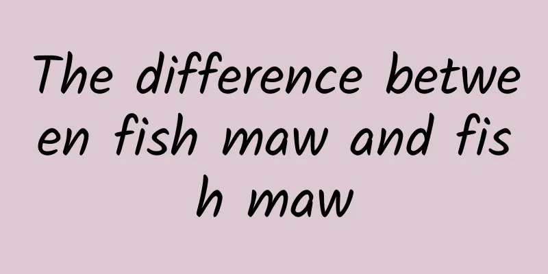 The difference between fish maw and fish maw