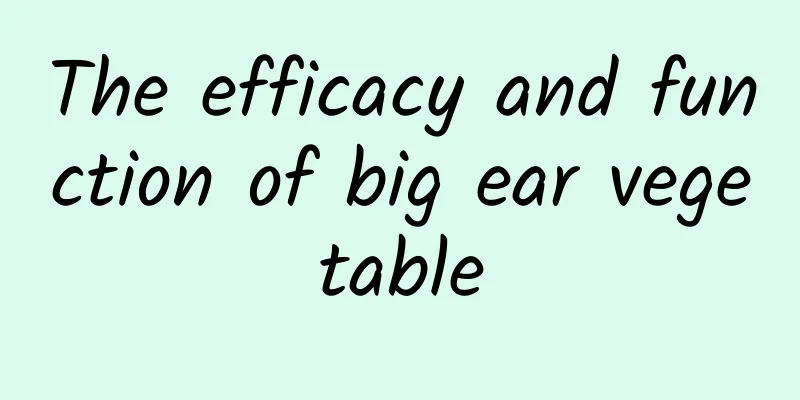 The efficacy and function of big ear vegetable