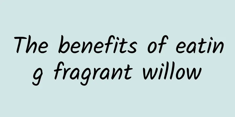 The benefits of eating fragrant willow