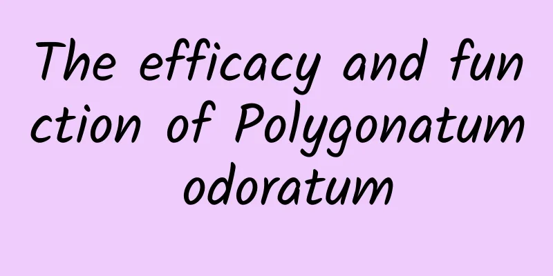 The efficacy and function of Polygonatum odoratum