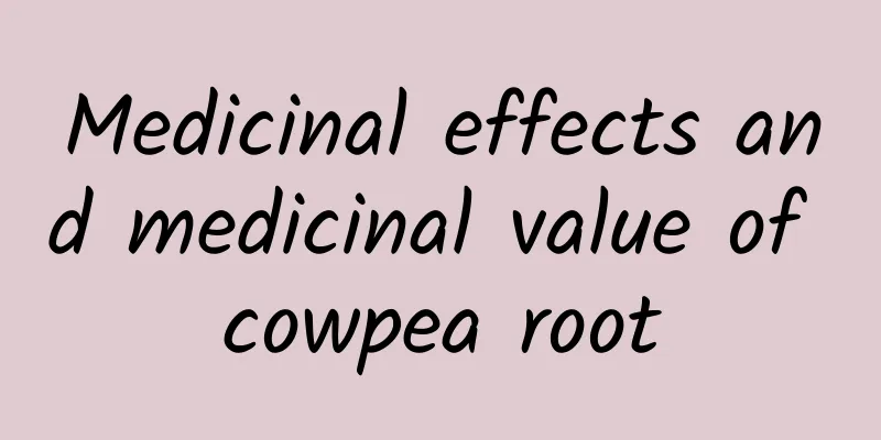 Medicinal effects and medicinal value of cowpea root