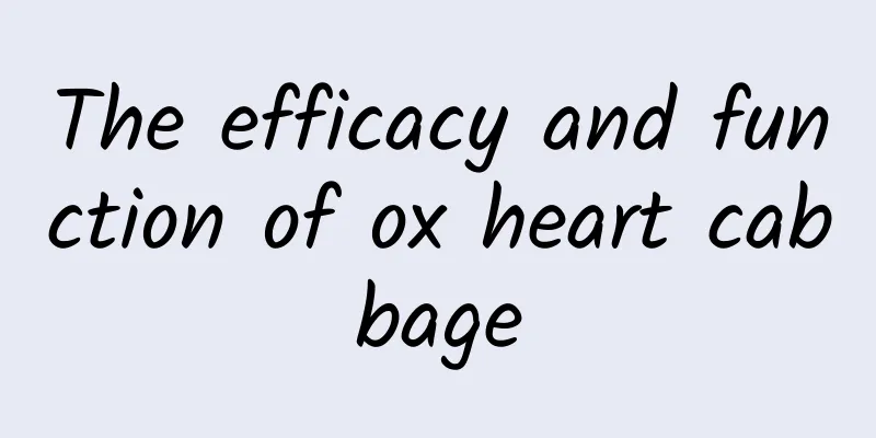 The efficacy and function of ox heart cabbage