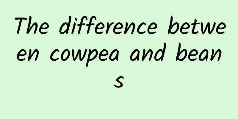 The difference between cowpea and beans