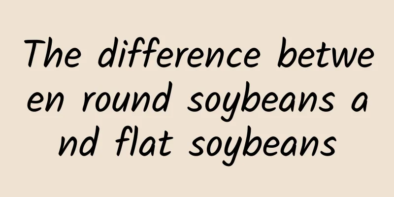 The difference between round soybeans and flat soybeans