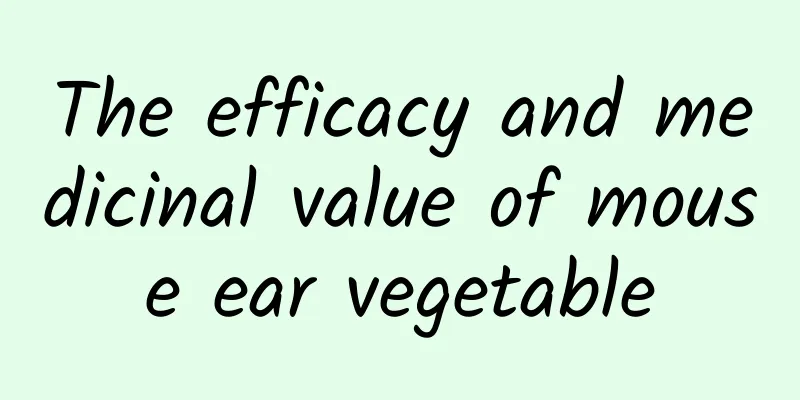 The efficacy and medicinal value of mouse ear vegetable