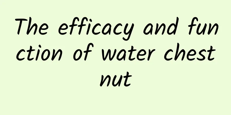 The efficacy and function of water chestnut