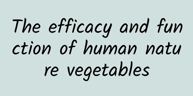 The efficacy and function of human nature vegetables