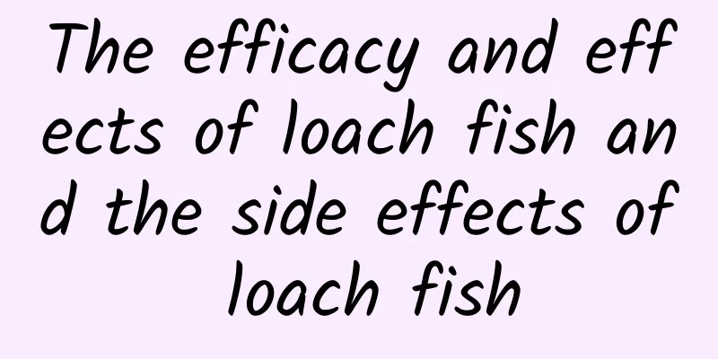 The efficacy and effects of loach fish and the side effects of loach fish