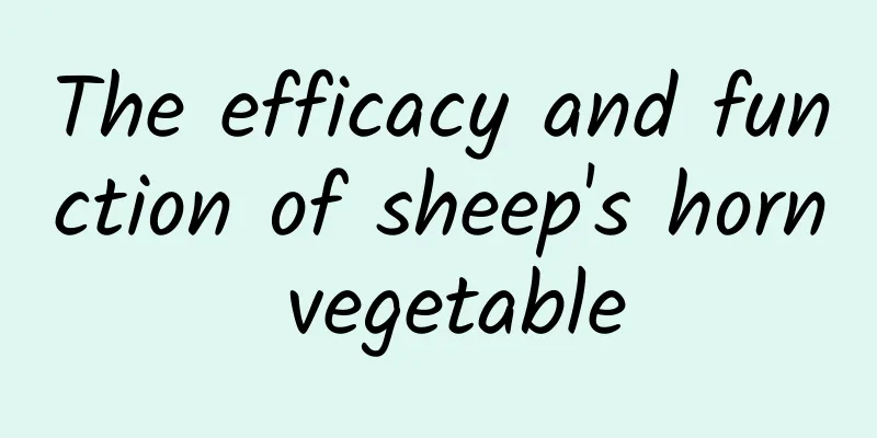 The efficacy and function of sheep's horn vegetable