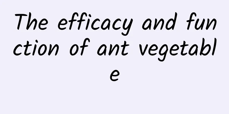 The efficacy and function of ant vegetable