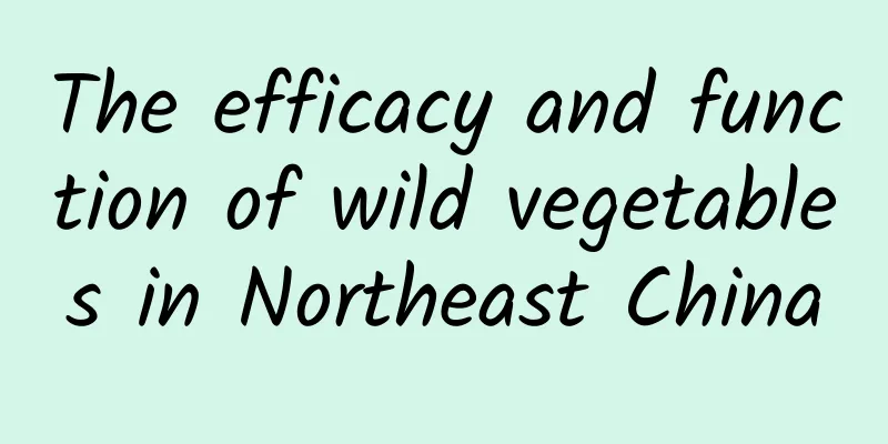 The efficacy and function of wild vegetables in Northeast China