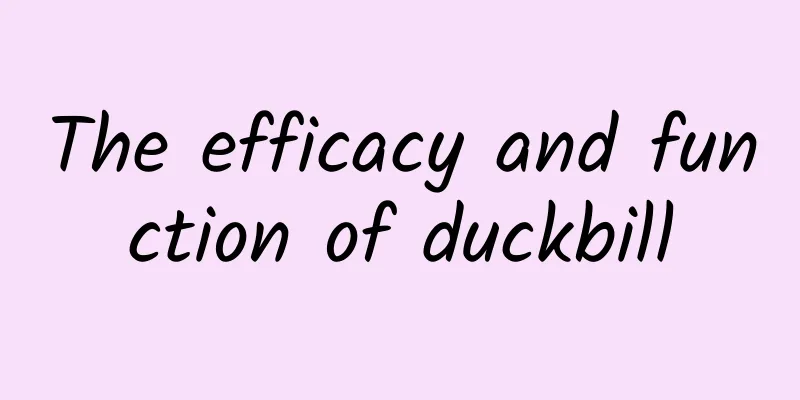 The efficacy and function of duckbill