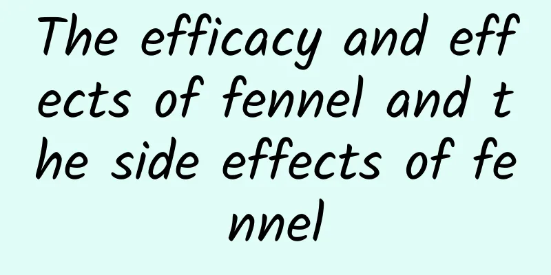 The efficacy and effects of fennel and the side effects of fennel