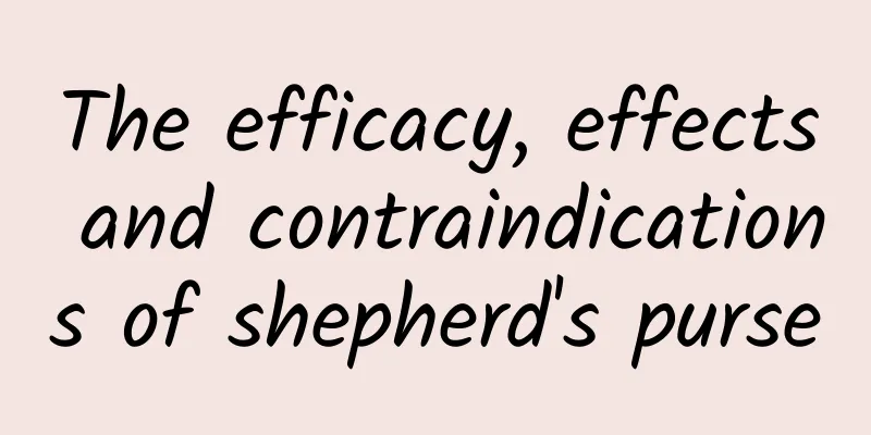 The efficacy, effects and contraindications of shepherd's purse