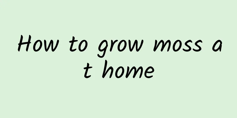 How to grow moss at home