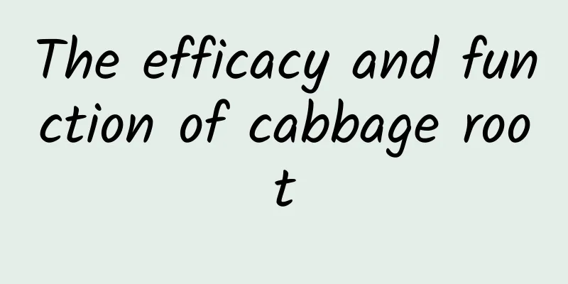 The efficacy and function of cabbage root