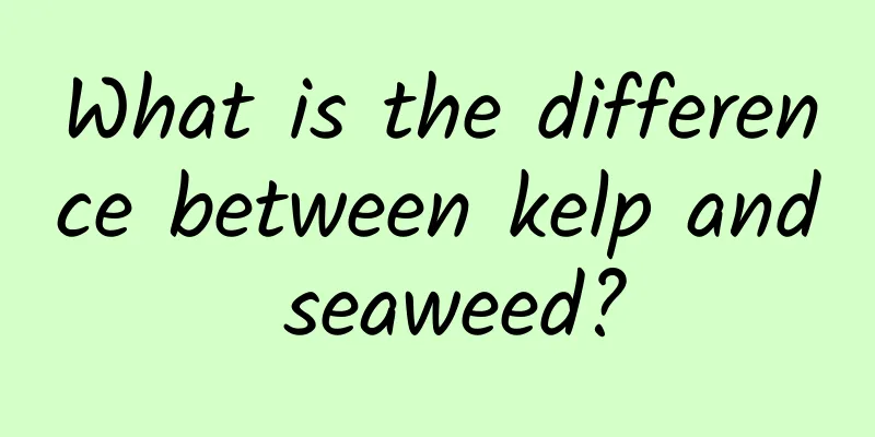 What is the difference between kelp and seaweed?