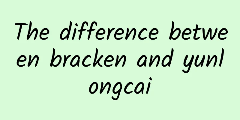 The difference between bracken and yunlongcai