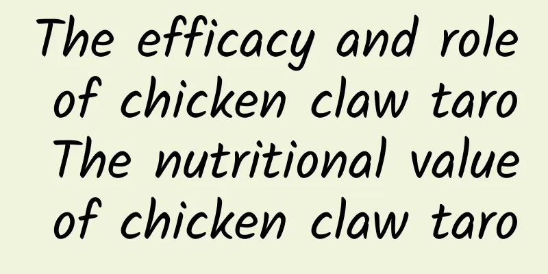 The efficacy and role of chicken claw taro The nutritional value of chicken claw taro