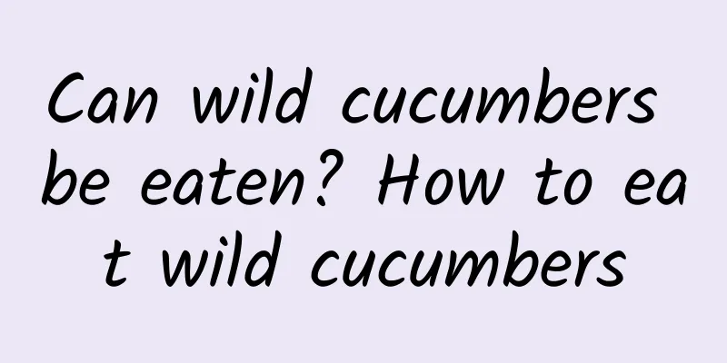 Can wild cucumbers be eaten? How to eat wild cucumbers