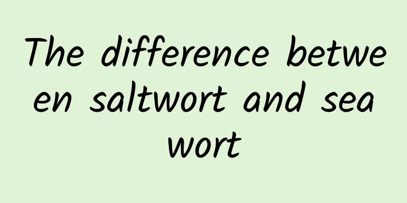 The difference between saltwort and seawort