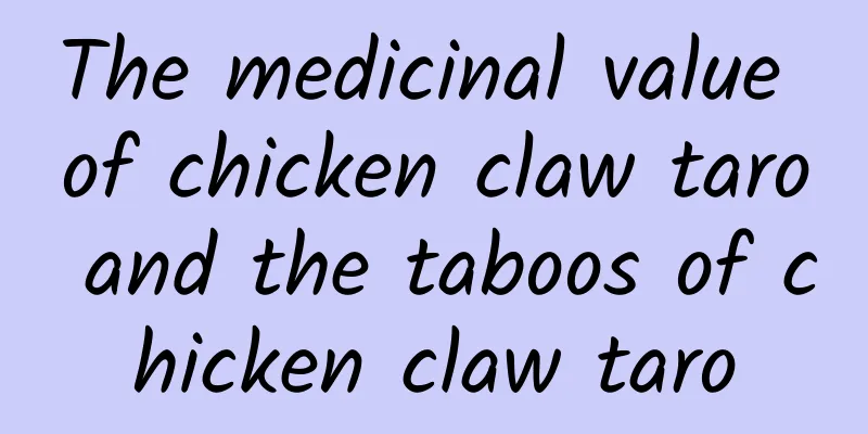 The medicinal value of chicken claw taro and the taboos of chicken claw taro