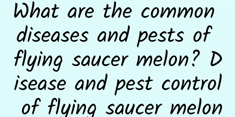 What are the common diseases and pests of flying saucer melon? Disease and pest control of flying saucer melon