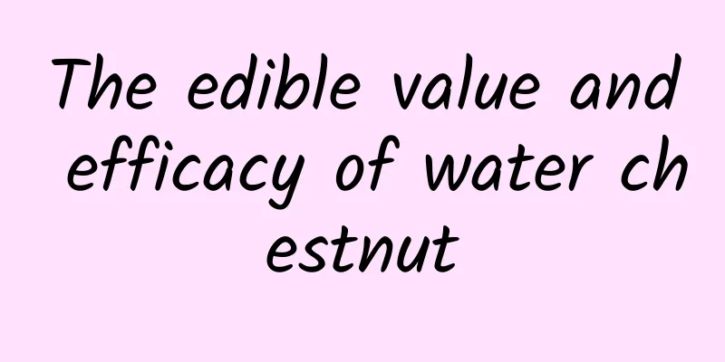 The edible value and efficacy of water chestnut