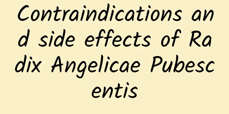 Contraindications and side effects of Radix Angelicae Pubescentis