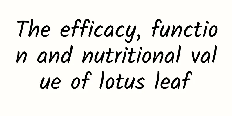 The efficacy, function and nutritional value of lotus leaf