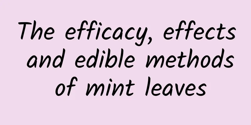 The efficacy, effects and edible methods of mint leaves