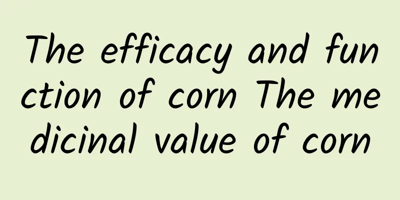 The efficacy and function of corn The medicinal value of corn