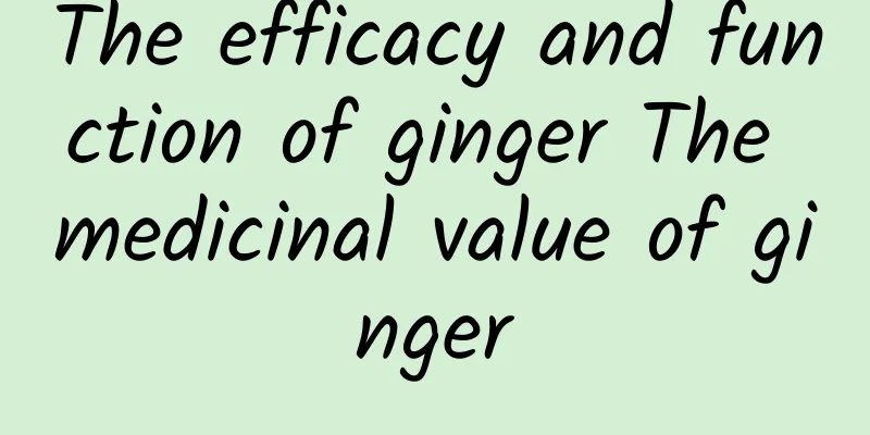 The efficacy and function of ginger The medicinal value of ginger