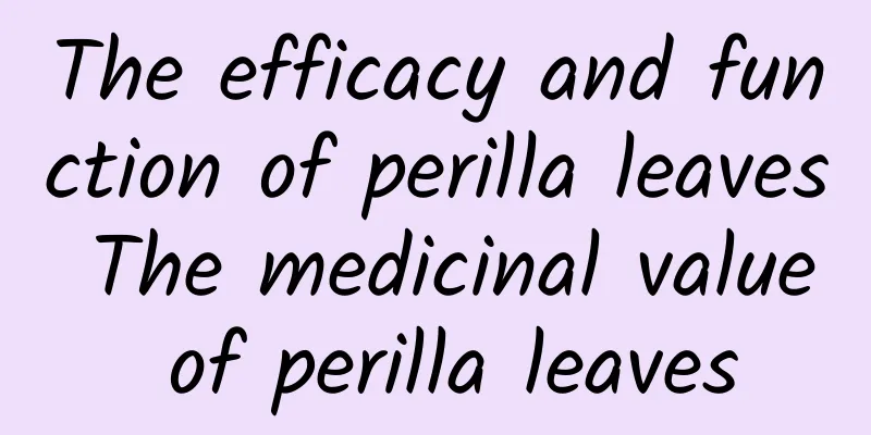 The efficacy and function of perilla leaves The medicinal value of perilla leaves