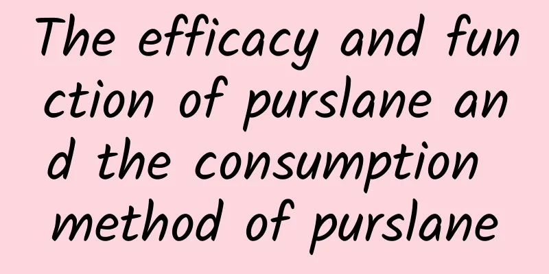 The efficacy and function of purslane and the consumption method of purslane