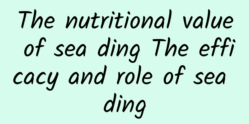 The nutritional value of sea ​​ding The efficacy and role of sea ​​ding