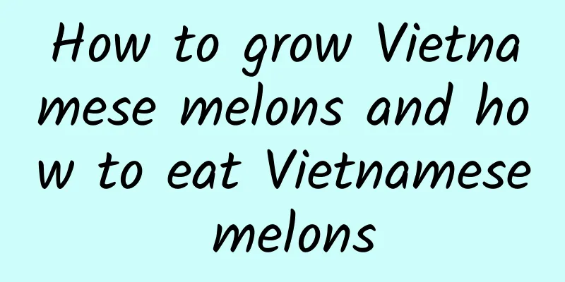 How to grow Vietnamese melons and how to eat Vietnamese melons