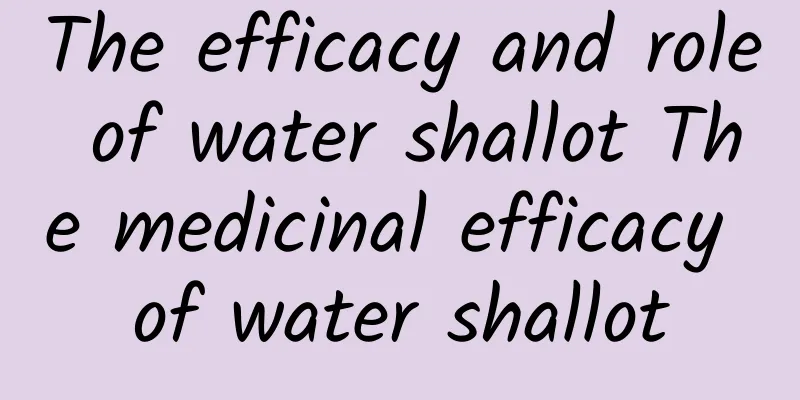 The efficacy and role of water shallot The medicinal efficacy of water shallot