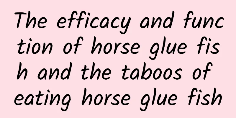 The efficacy and function of horse glue fish and the taboos of eating horse glue fish