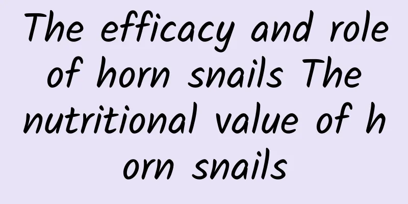 The efficacy and role of horn snails The nutritional value of horn snails